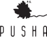 Логотип компании PUSHASTORE