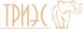 Логотип компании Триэс
